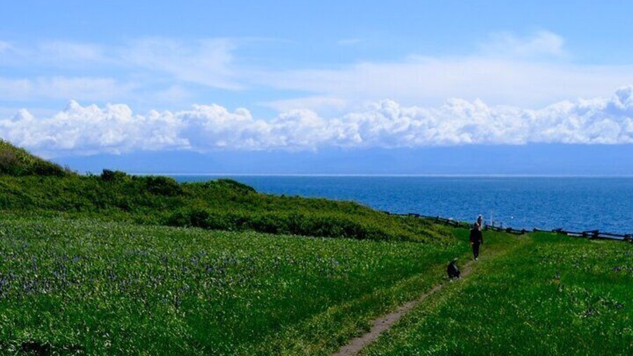 Victoria Seaside Splendors Trail Walking Tour