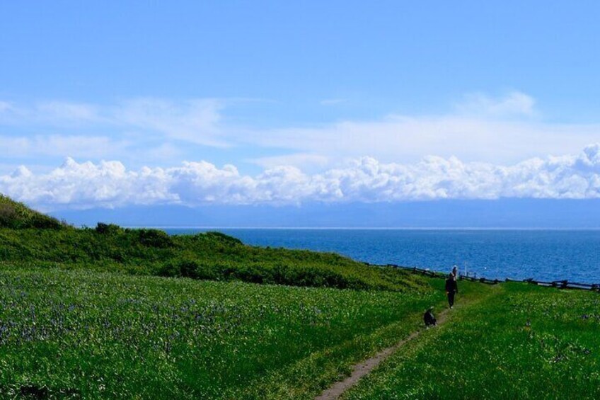Victoria Seaside Splendors Trail Walking Tour
