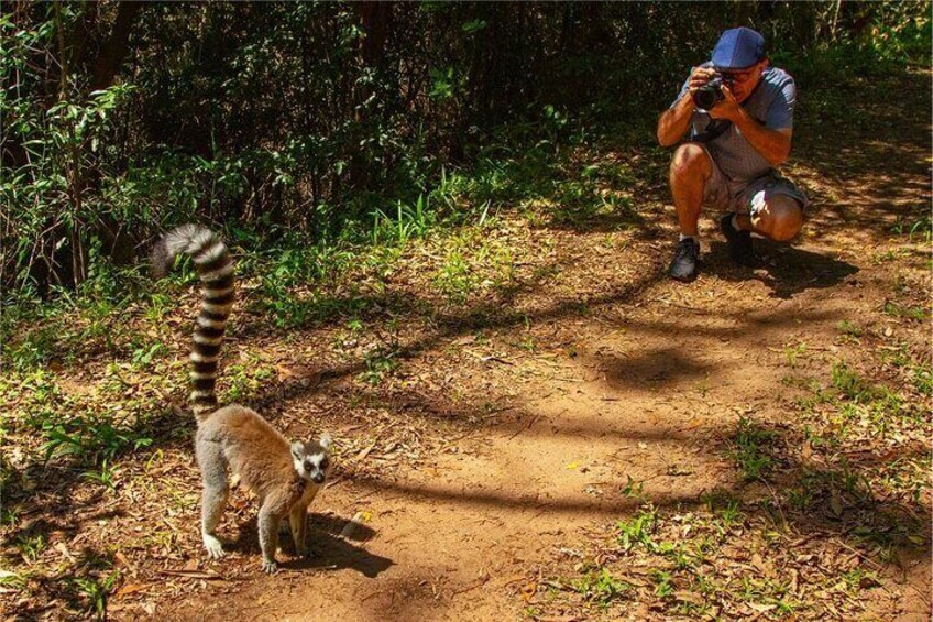 Hidden Forest Wildlife Experience