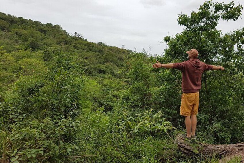 Hidden Forest Wildlife Experience