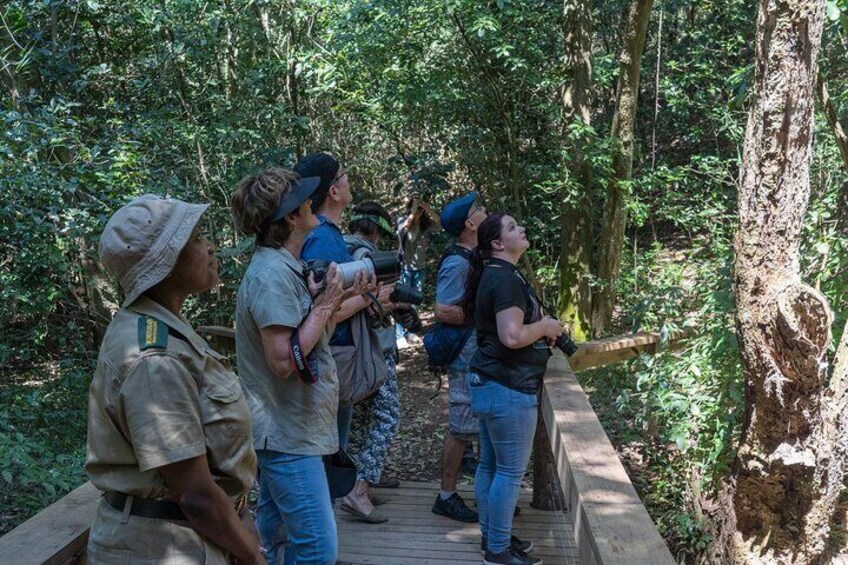 Hidden Forest Wildlife Experience