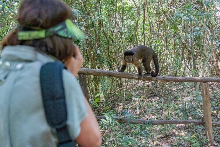 Hidden Forest Wildlife Experience