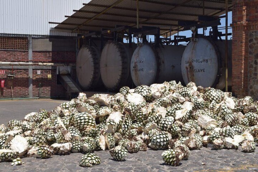 Guided Full Day Tour to Tequila and Cantaritos el Guero