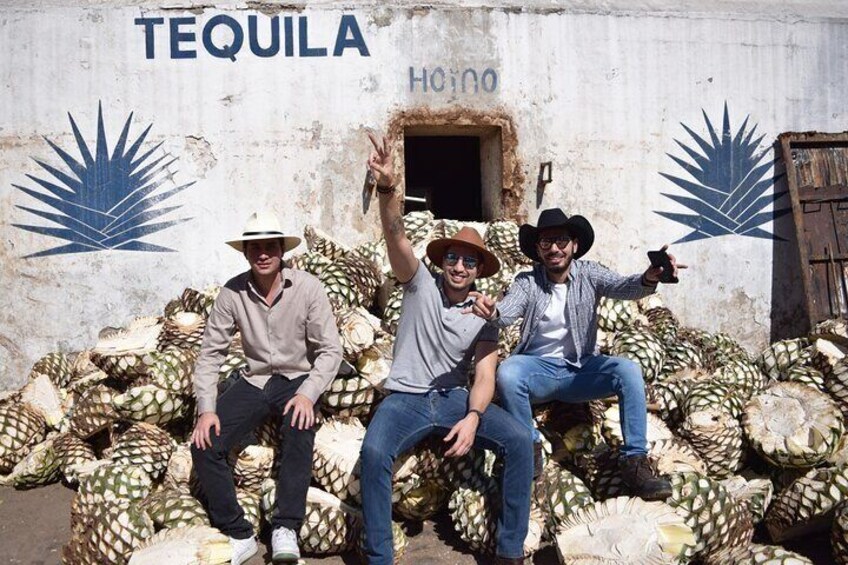 Guided Full Day Tour to Tequila and Cantaritos el Guero