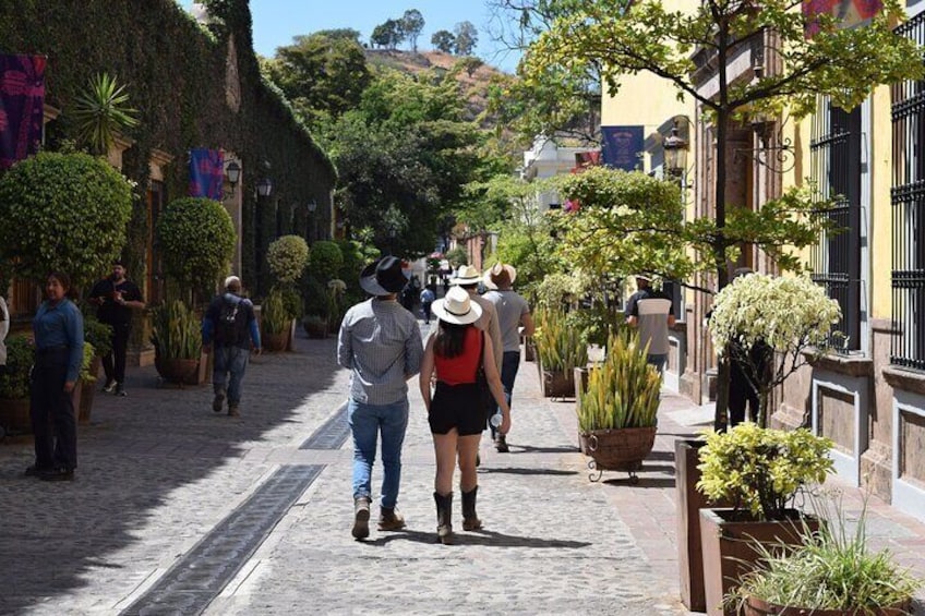Tequila Town Tour