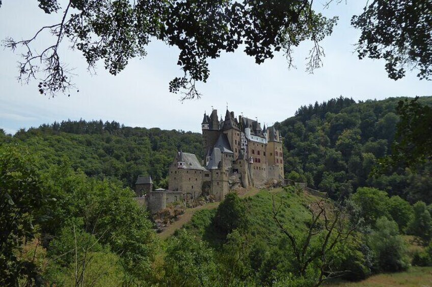 Koblenz to Castle Eltz Private Tour