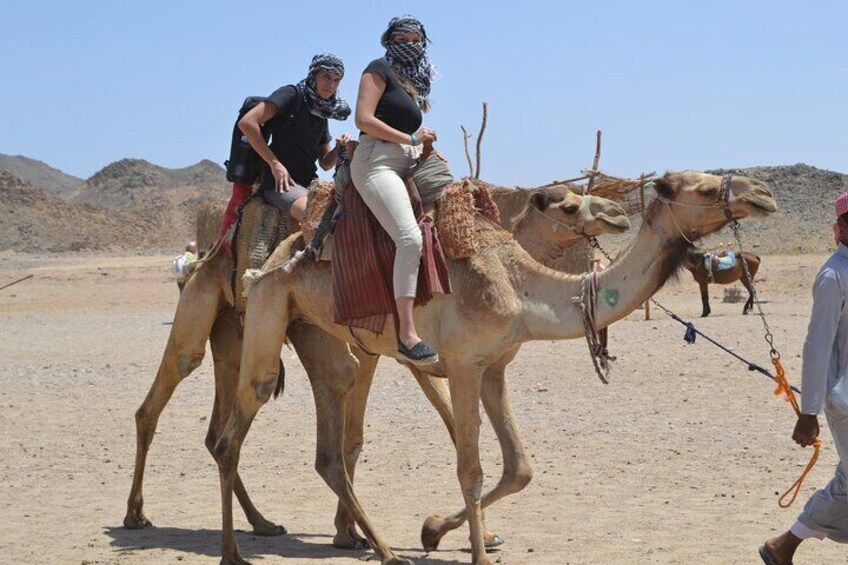 2-Hour Camel Ride in the Desert with Pickup & Drop off–Marsa Alam