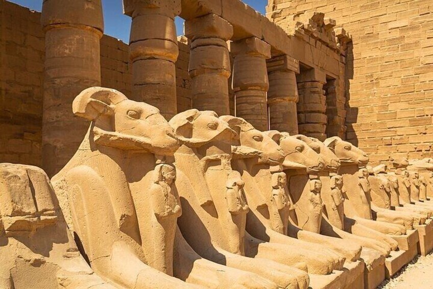 Luxor Private Tour Valley of the Kings and Historic – Marsa Alam
