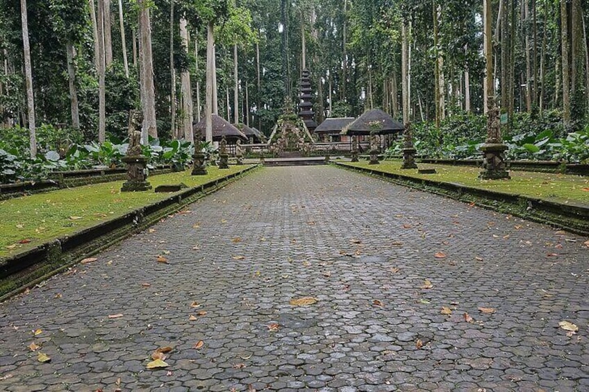 Sangeh Monkey Forest 