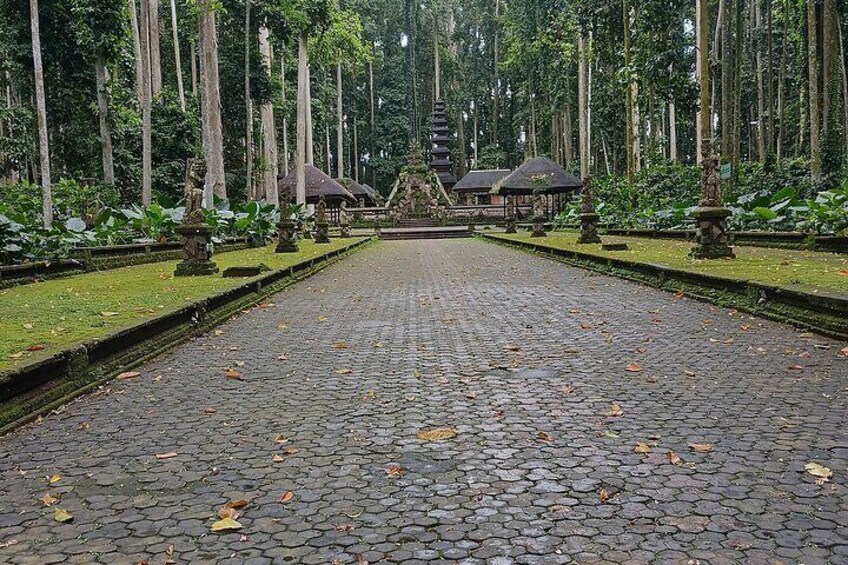 Sangeh Monkey Forest