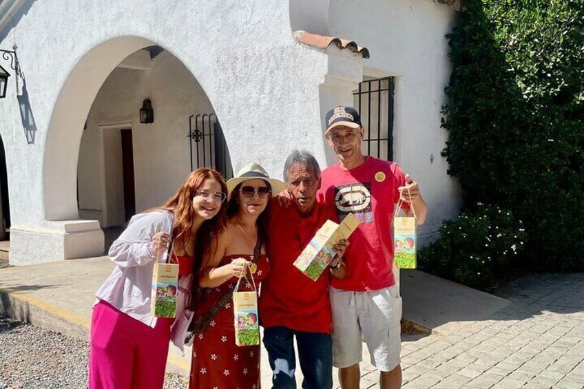 1 Day Undurraga Vineyard Tour from Santiago