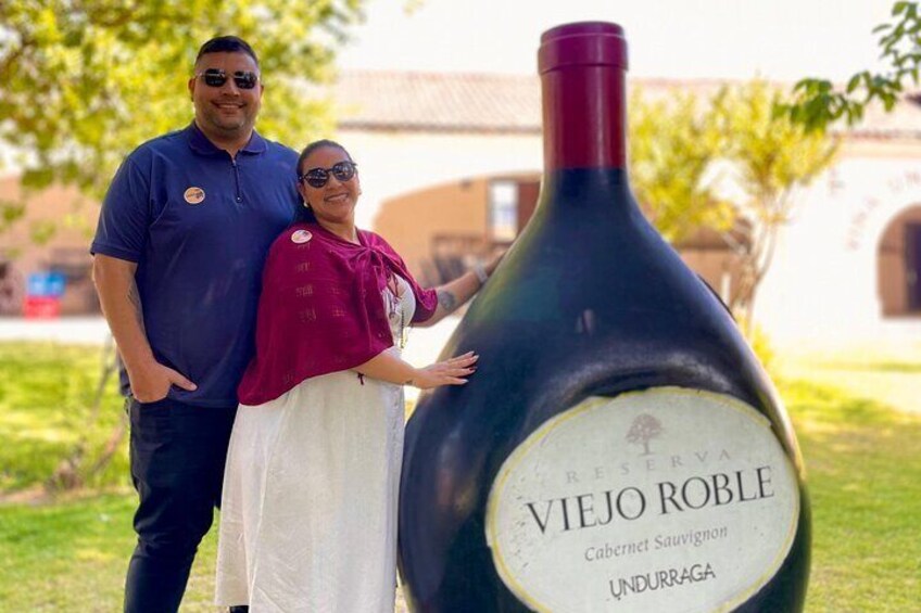 1 Day Undurraga Vineyard Tour from Santiago