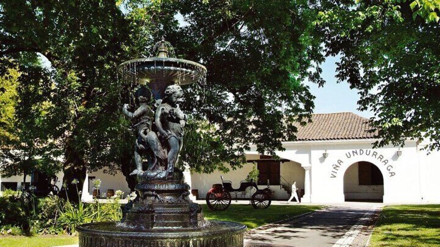 1 Day Undurraga Vineyard Tour from Santiago