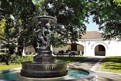 1 Day Undurraga Vineyard Tour from Santiago