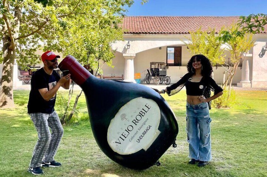 1 Day Undurraga Vineyard Tour from Santiago
