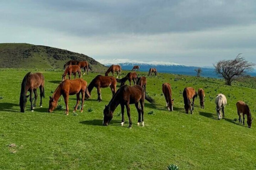 2 Day Nuratau Mountain Villages Tour from Bukhara and Samarkand