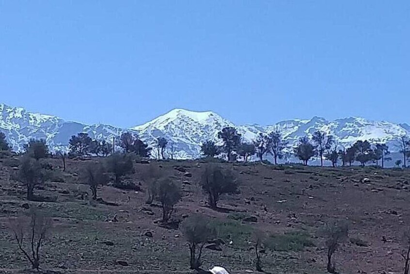 Private Scenic Hike with Authentic Berber Village Day Tour