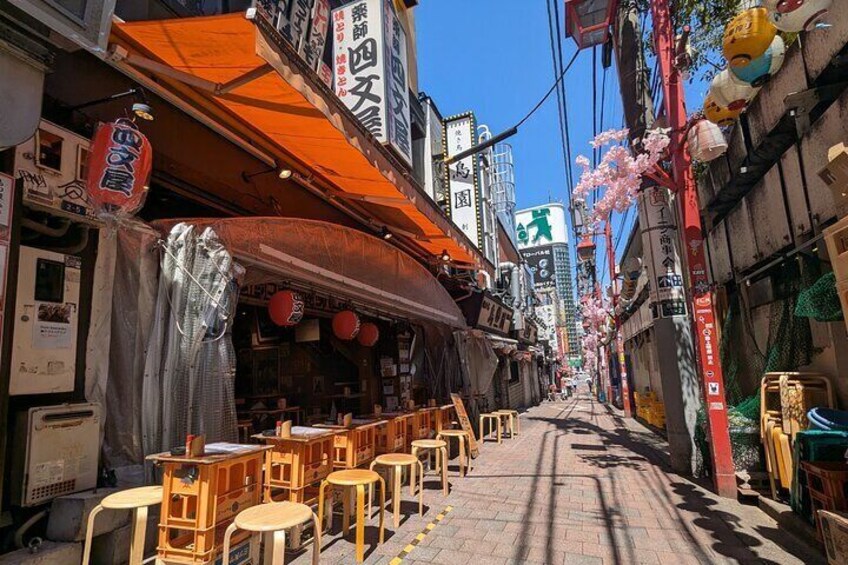 Hotspots Around Shinjuku Tour