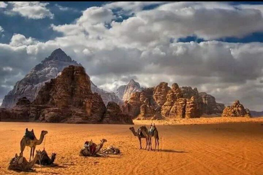  2 Day Amman Petra Wadi Rum and Dead Sea Experience