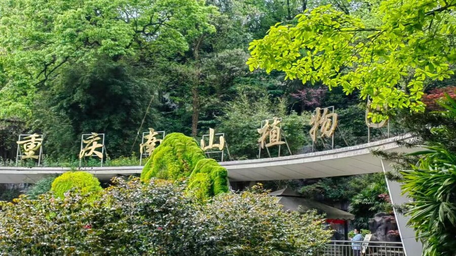 Chongqing Nanshan Botanical Garden Admission Ticket