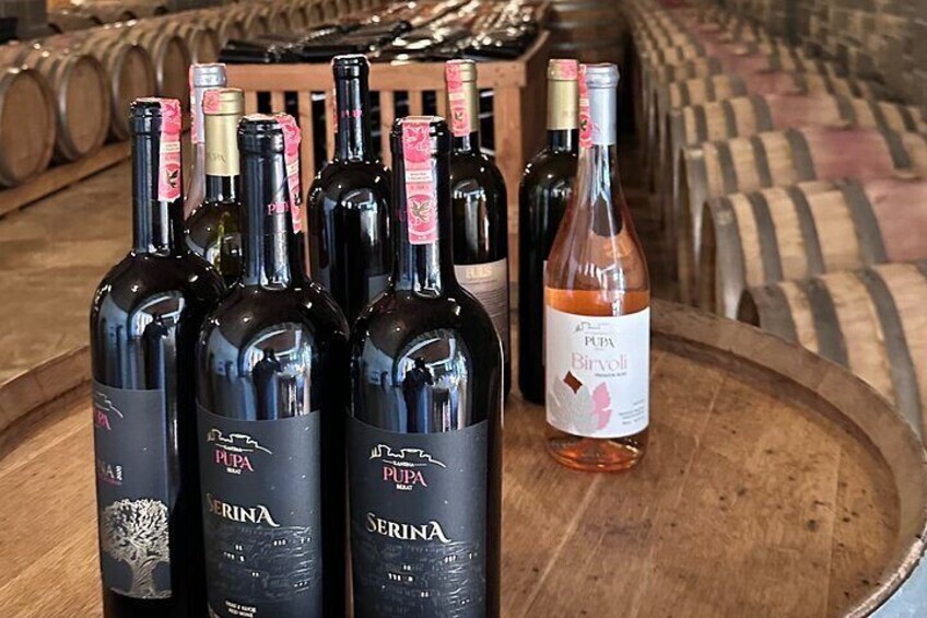 Wine Tasting Tour 