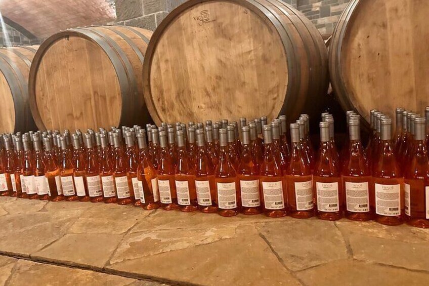 Wine Tasting Tour