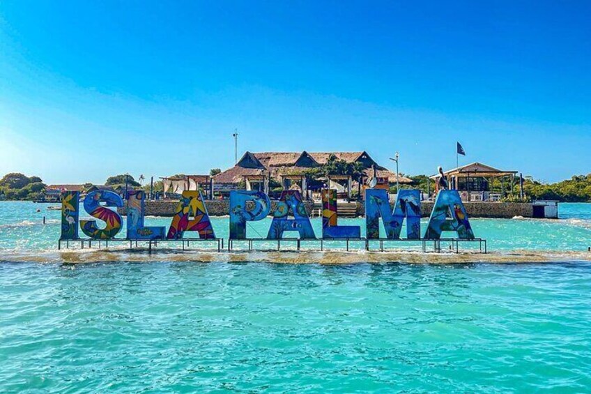 Full Day Private Beach Club Palma Island and Full Food