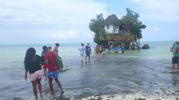 The Rock & Blue Lagoon Half Day Tour