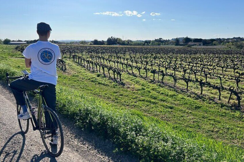 Montpellier Nature-Guided Ride to Lake Cres by Electric Bike