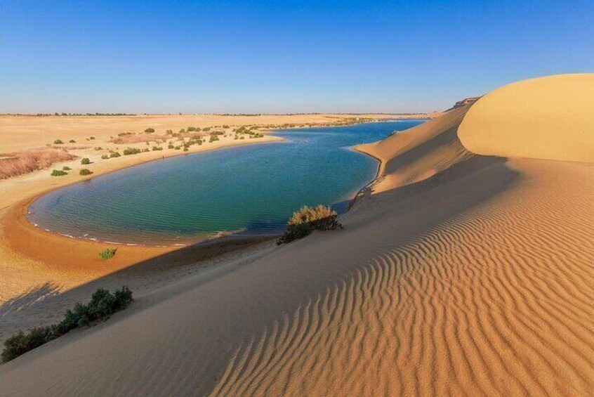 Day Tour to Fayoum Oasis