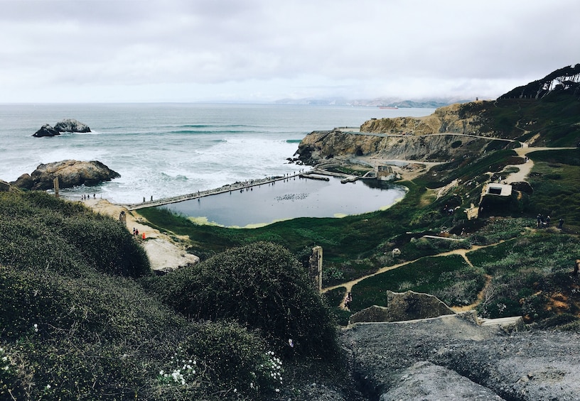 San Francisco City Insider's Tour