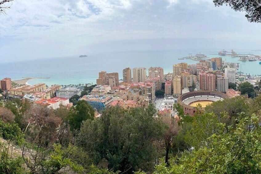 Discover Malaga 60 Minute Private Tour in Tuk tuk