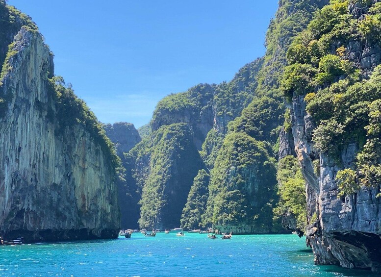 Picture 14 for Activity Koh Phi Phi: Maya Bay Private Longtail Boat Tour