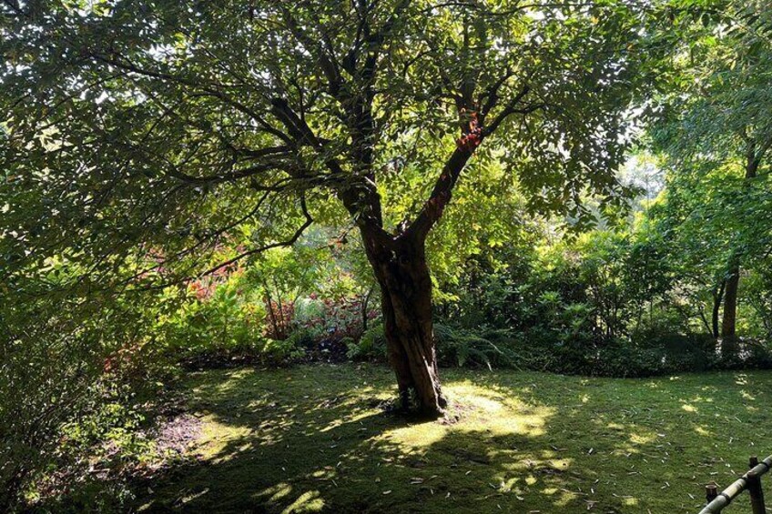 Giverny and Auvers sur Oise Private Tour from Paris