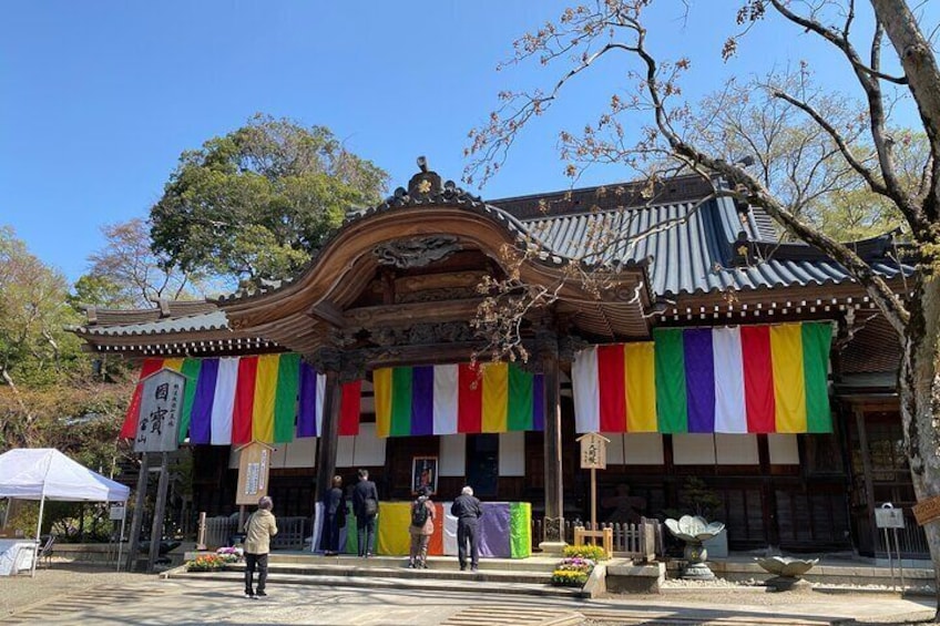Spring at Jindaiji Temple