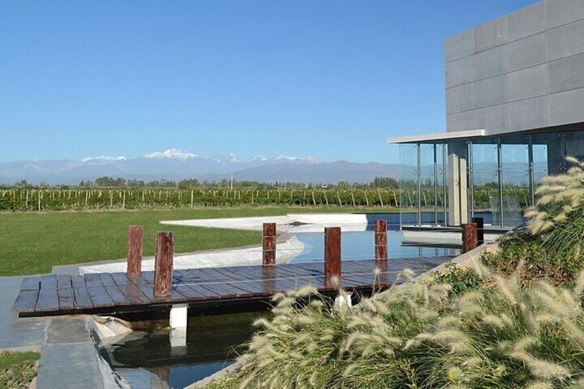 Mendoza Private Wine Tour Paired Lunch and Olive Oil Tasting