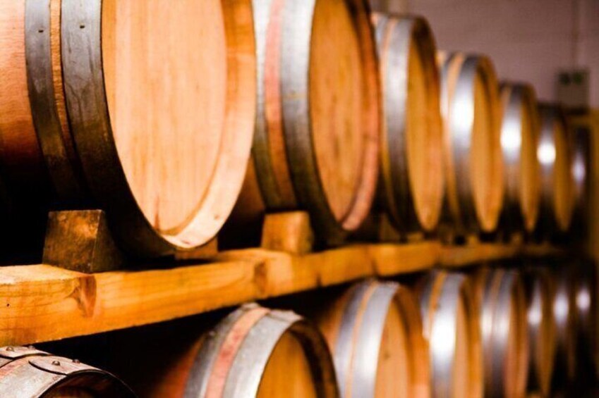 Mendoza Private Wine Tour Paired Lunch and Olive Oil Tasting
