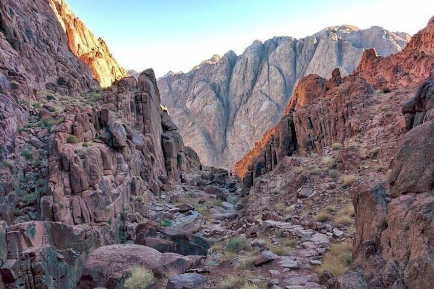 Private Saint Catherine Monastery by Bus + Lunch–Sharm El Sheikh