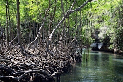 4in1: Los Haitises+ Kayaking+ Natural Pools+ Montana Redonda