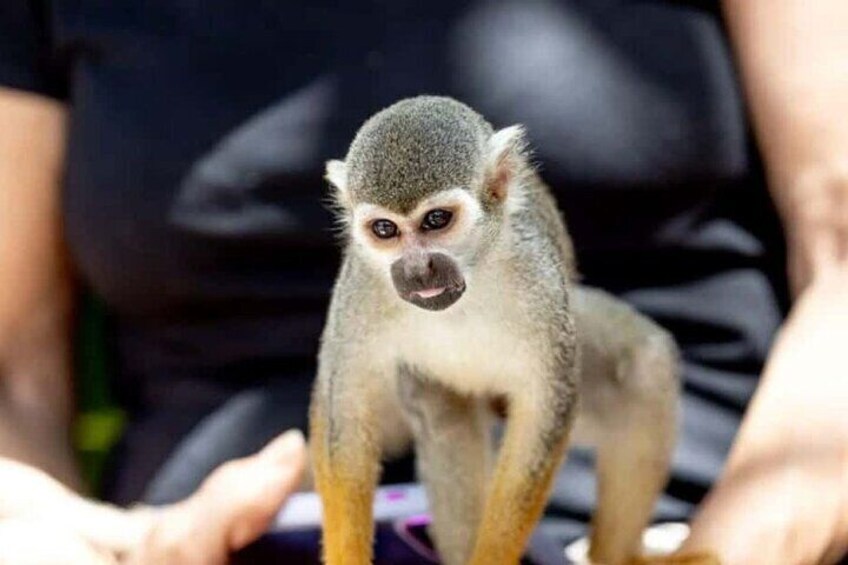 Explore Dominican Republic Punta Cana Car and Hike Tour