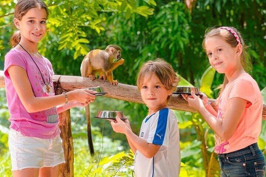 Explore Dominican Republic Punta Cana Car and Hike Tour