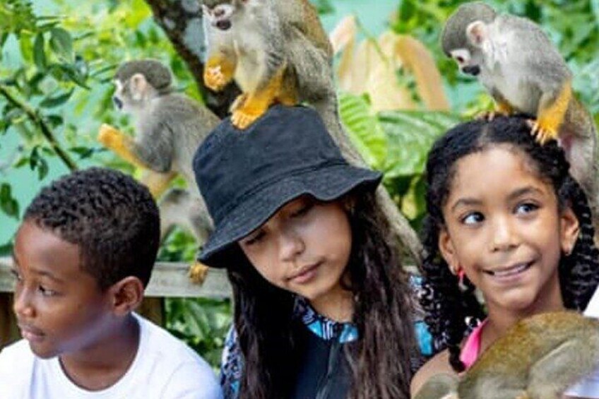 Explore Dominican Republic Punta Cana Car and Hike Tour