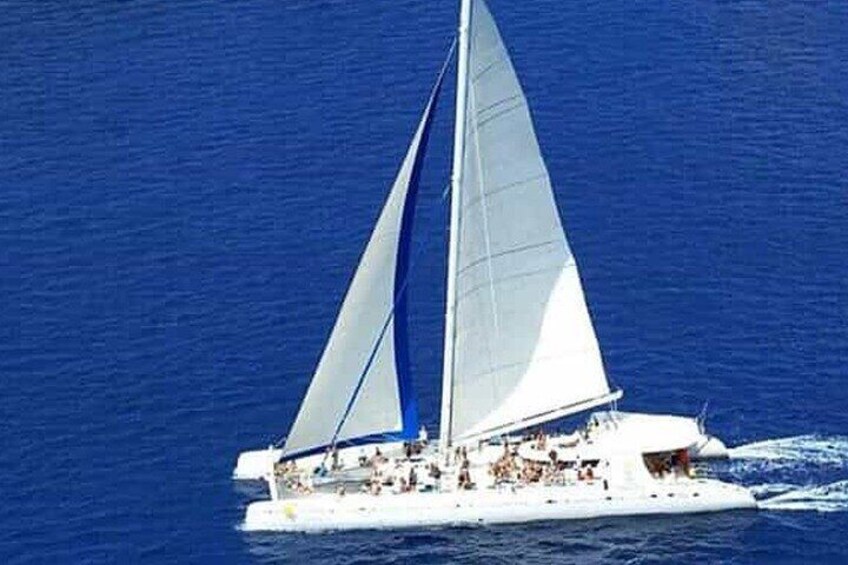 Saona Island Catamaran Speedboat Tour to a Dream Beach