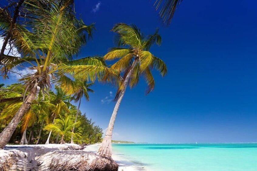 Saona Island Catamaran Speedboat Tour to a Dream Beach