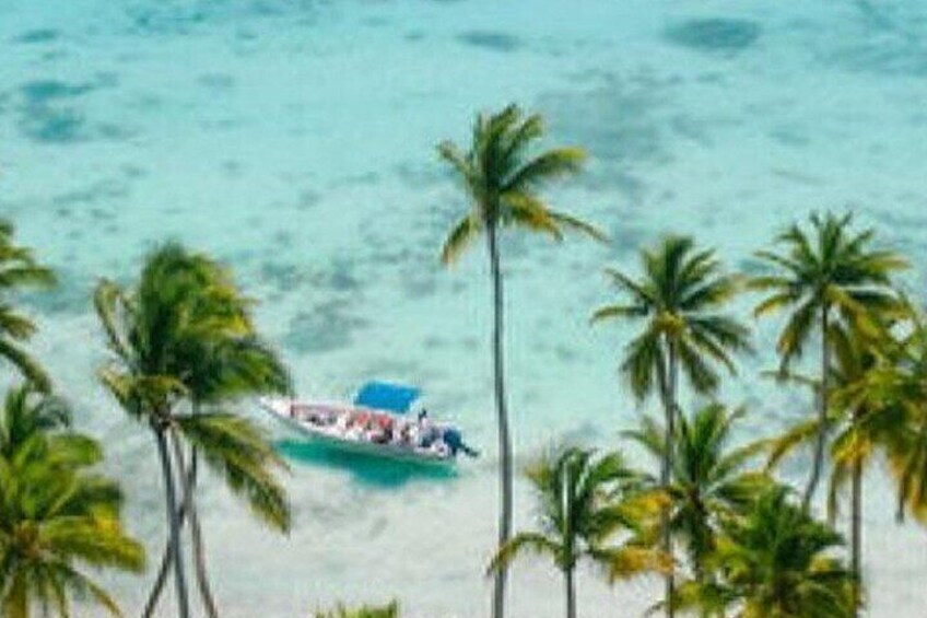 Saona Island Catamaran Speedboat Tour to a Dream Beach