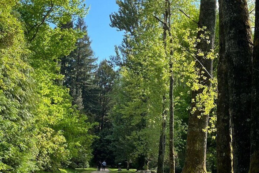 UACh Botanical Garden