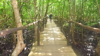 Villages & Lives Walking Tour in Zanzibar