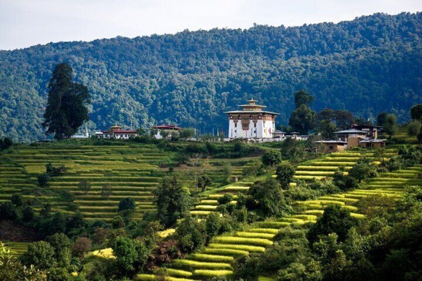 7 Days Shared Bhutan Guided Tour from Thimphu