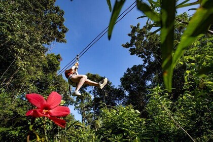 Original Canopy Tour at Veragua Rainforest