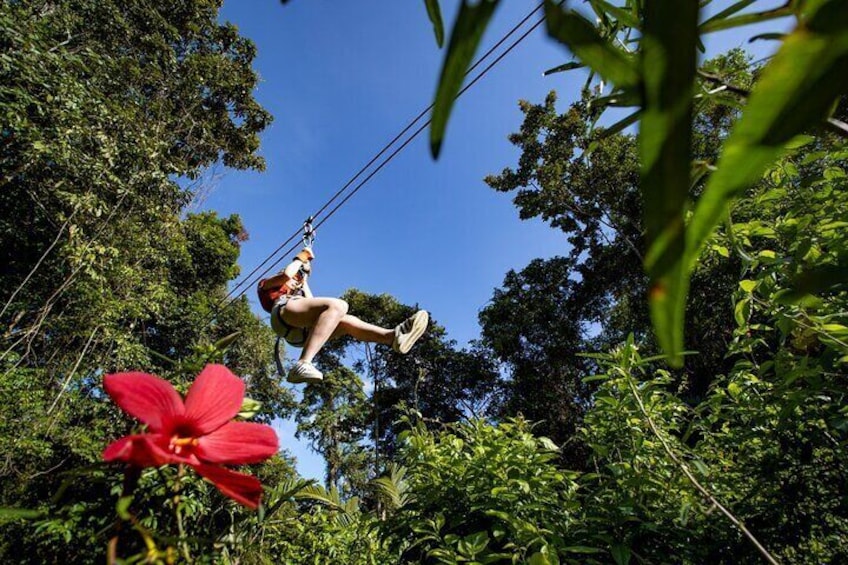 Original Canopy Tour at Veragua Rainforest